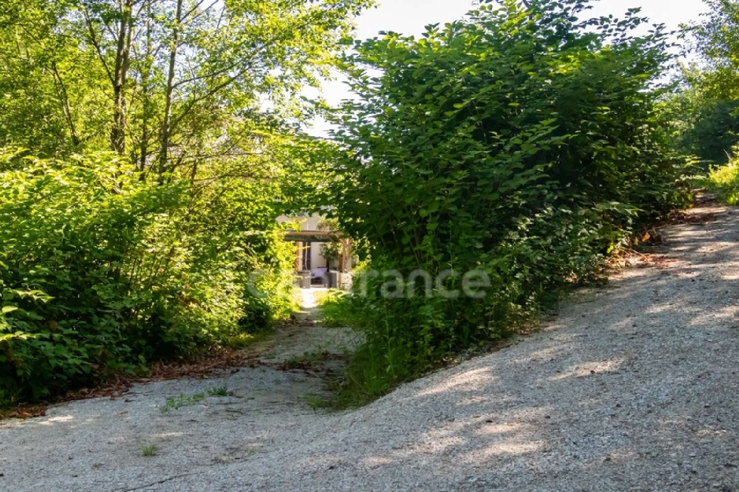 kaufen Haus Saint-Cassin Savoie 3