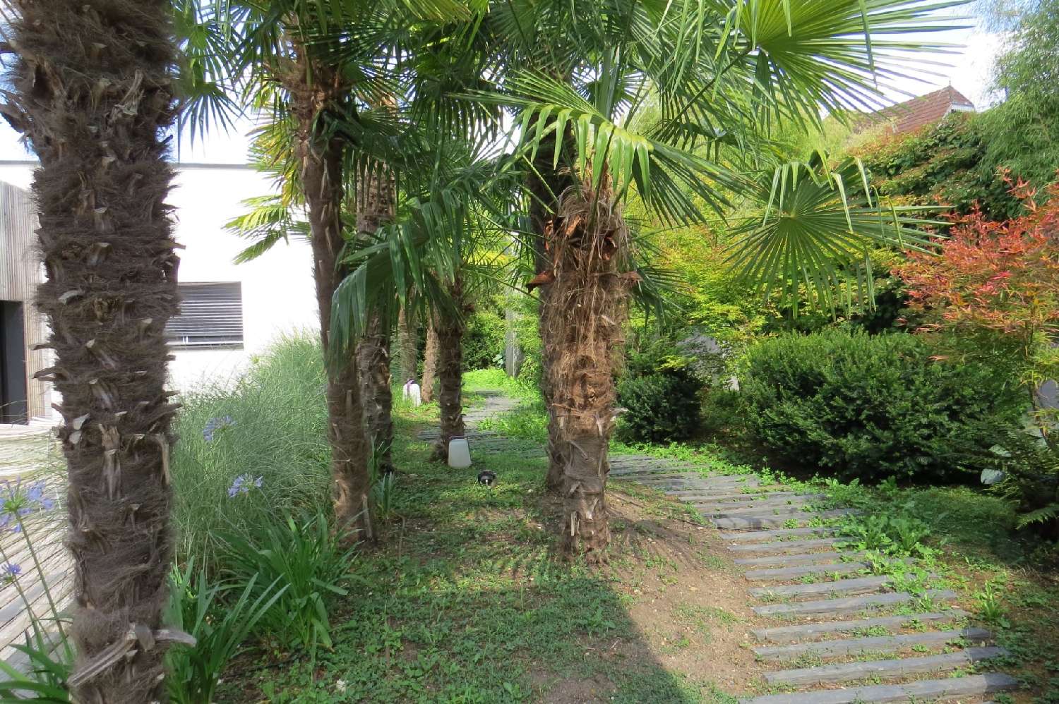 kaufen Haus Saint-Cyr-sur-Loire Indre-et-Loire 6