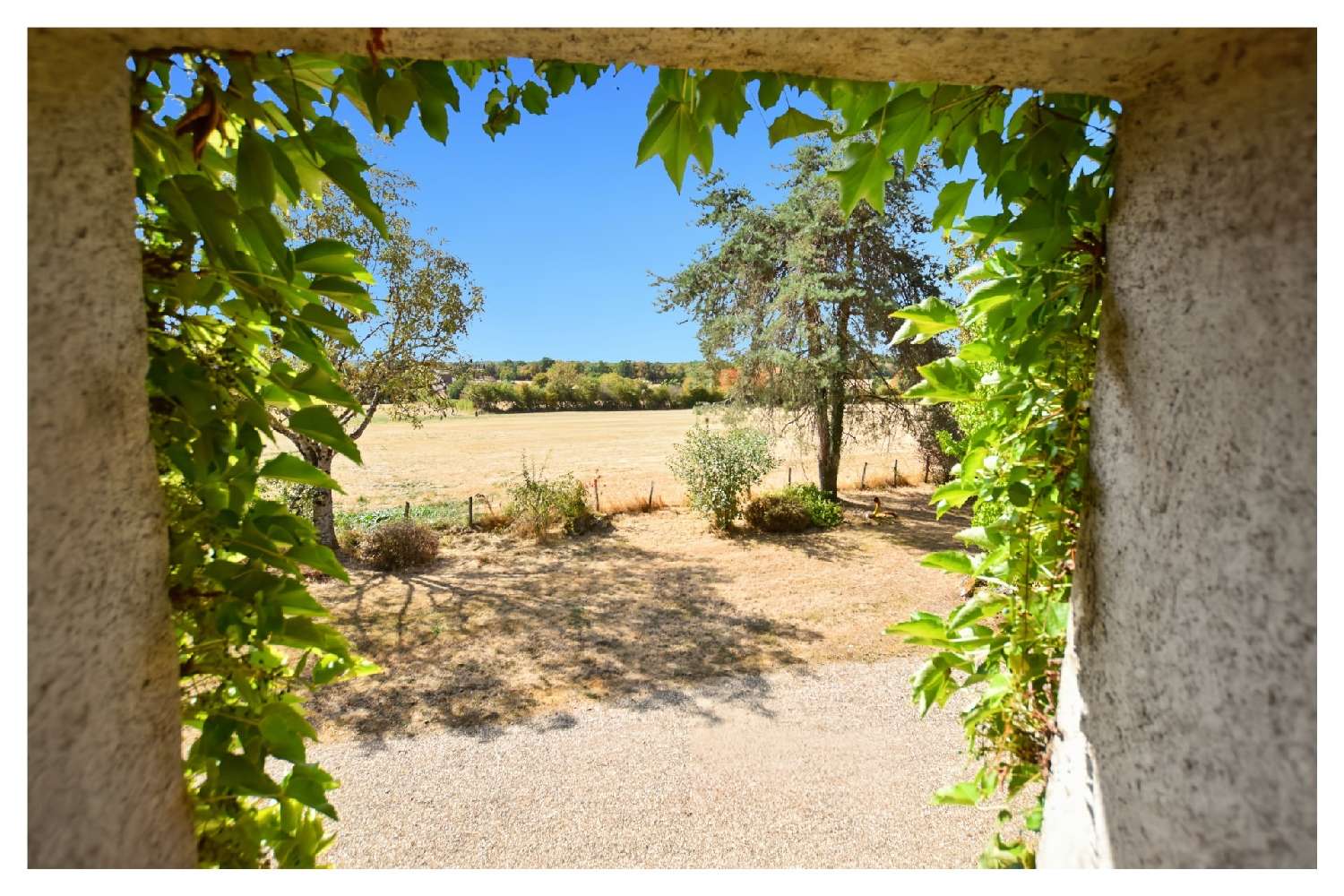 à vendre maison Saint-Émiland Saône-et-Loire 5