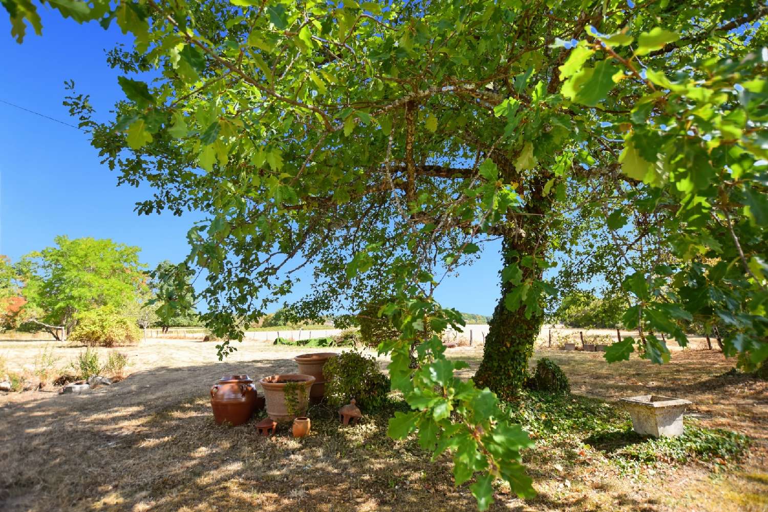 à vendre maison Saint-Émiland Saône-et-Loire 8