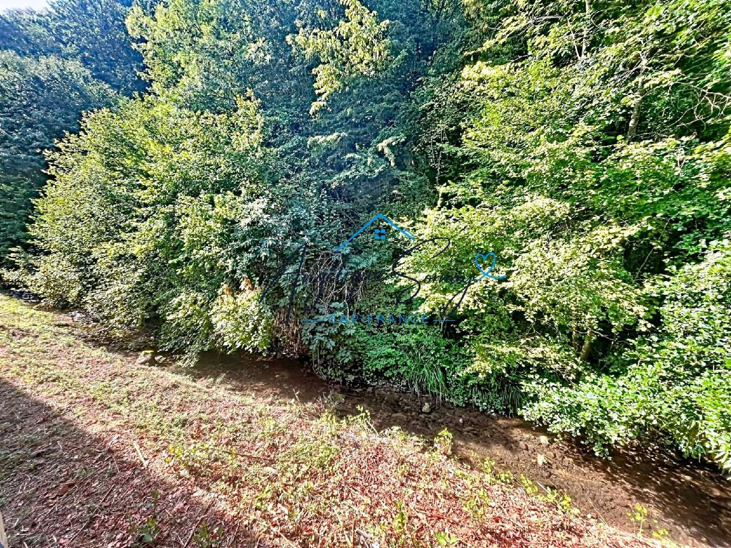 for sale house Saint-Genix-sur-Guiers Savoie 4
