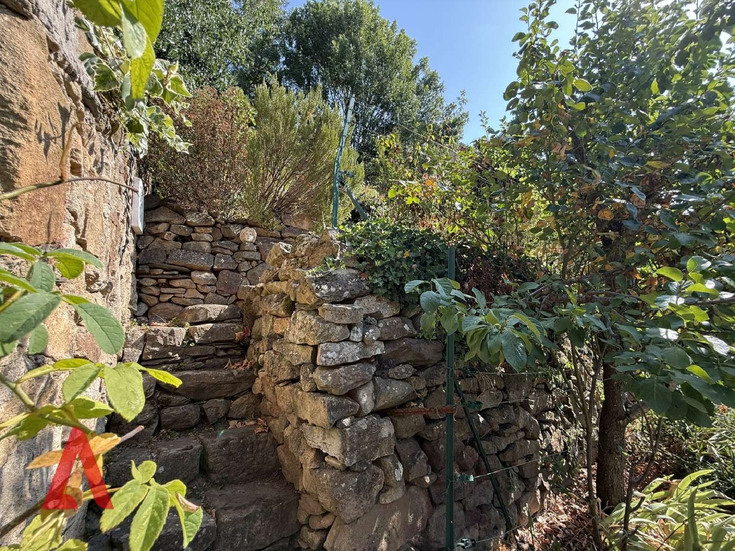 te koop huis Saint-Gervais-sur-Mare Hérault 3