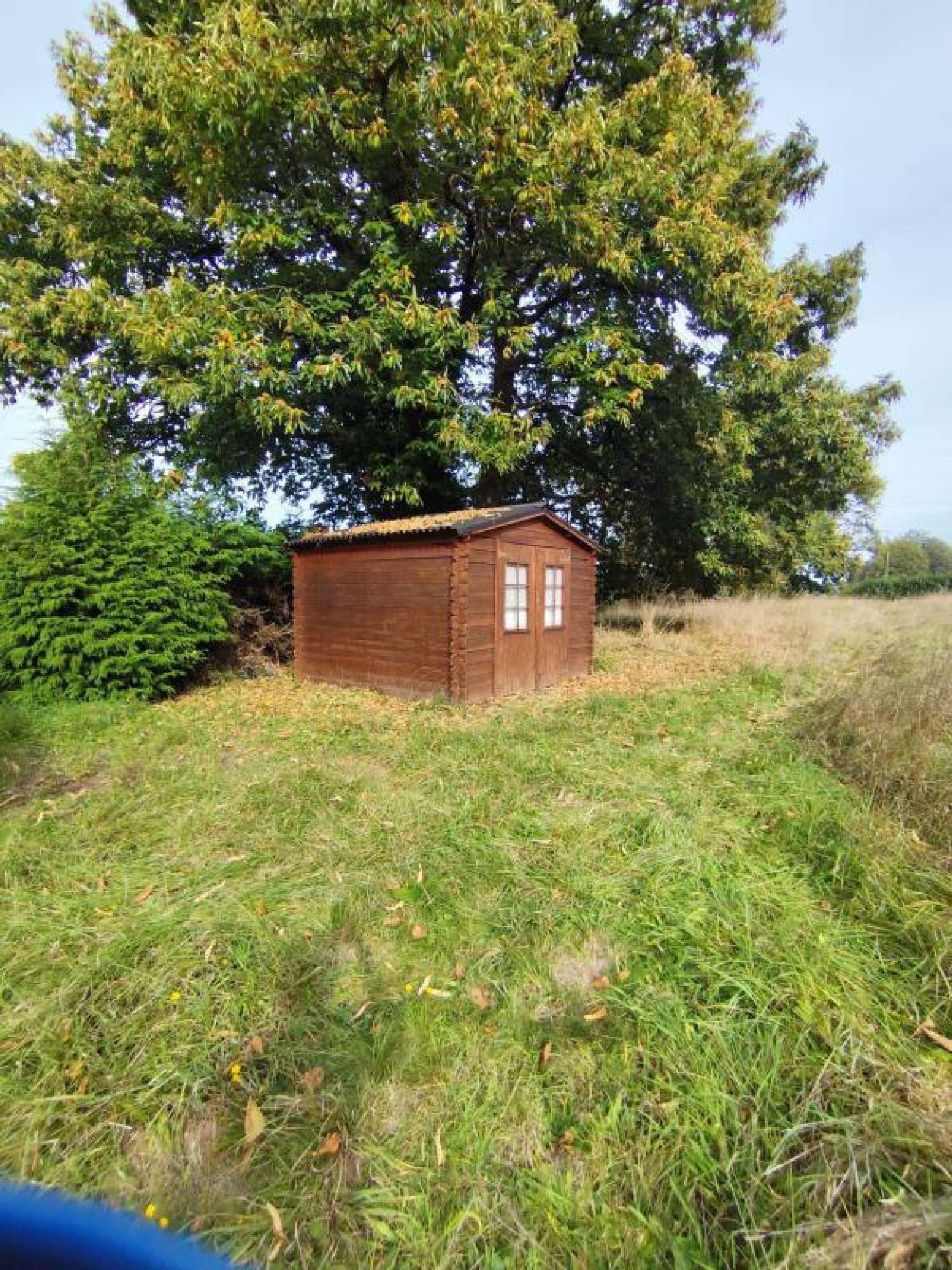  for sale house Saint-Jacut-les-Pins Morbihan 8
