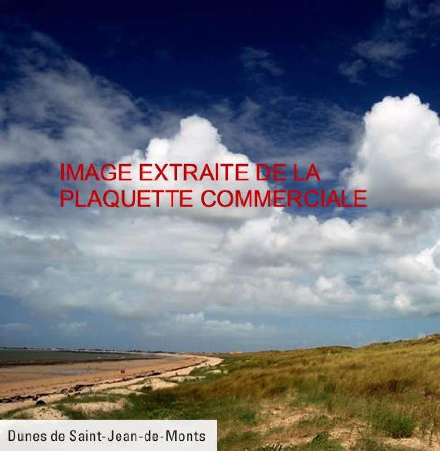  for sale house Saint-Jean-de-Monts Vendée 5
