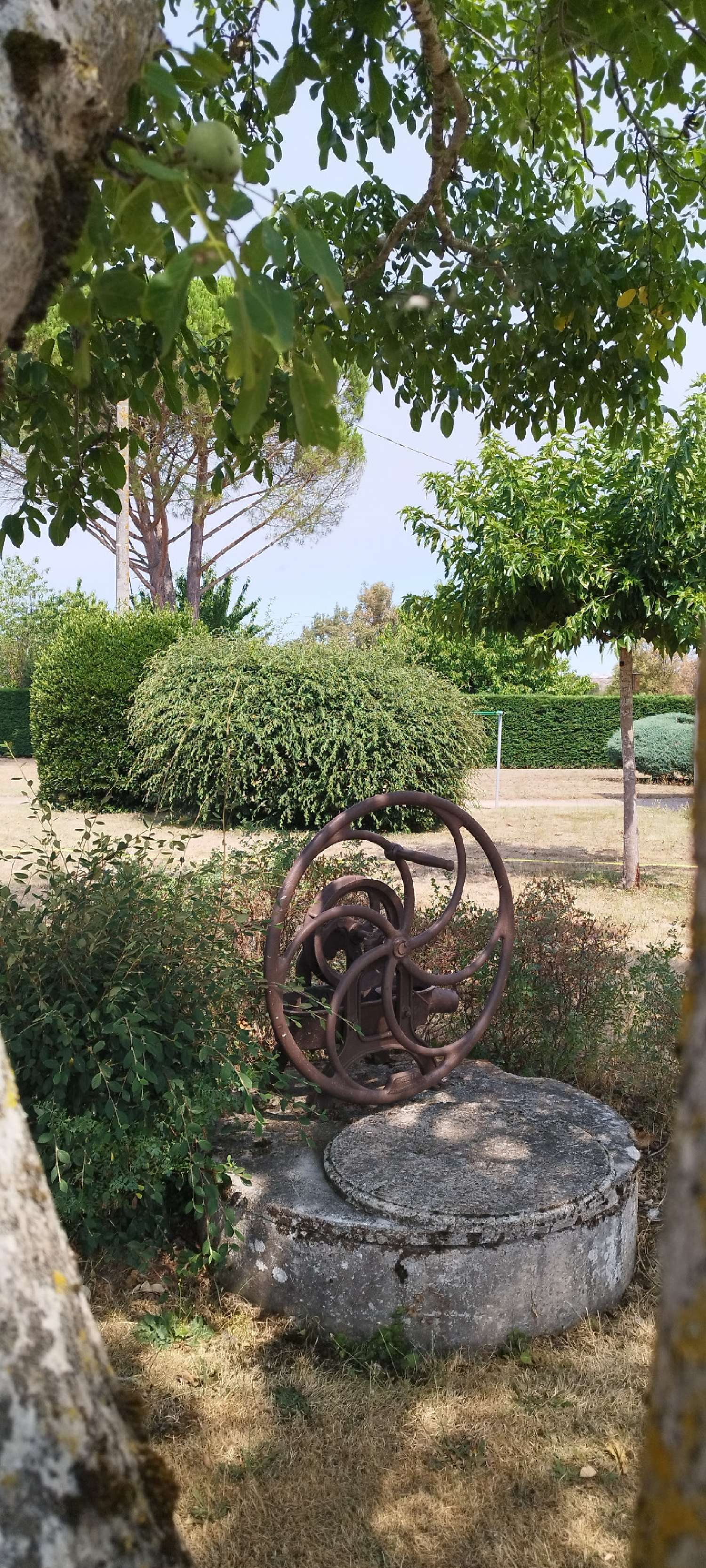 te koop huis Saint-Julien-du-Puy Tarn 5