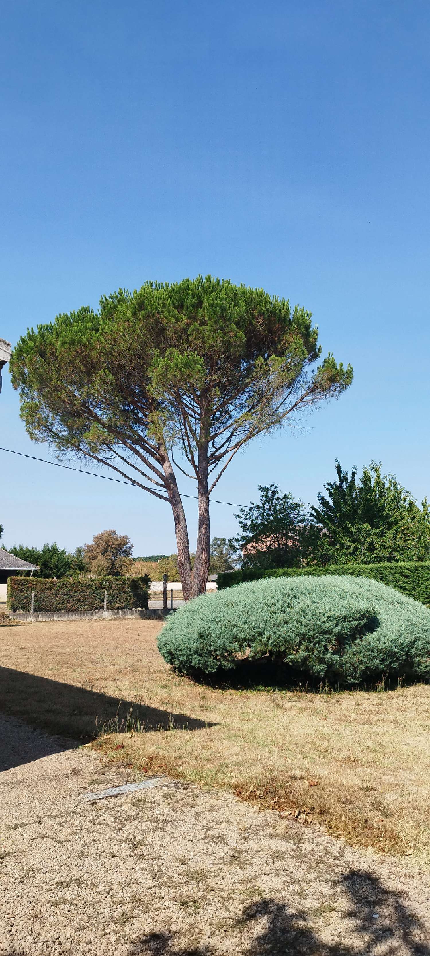 te koop huis Saint-Julien-du-Puy Tarn 7