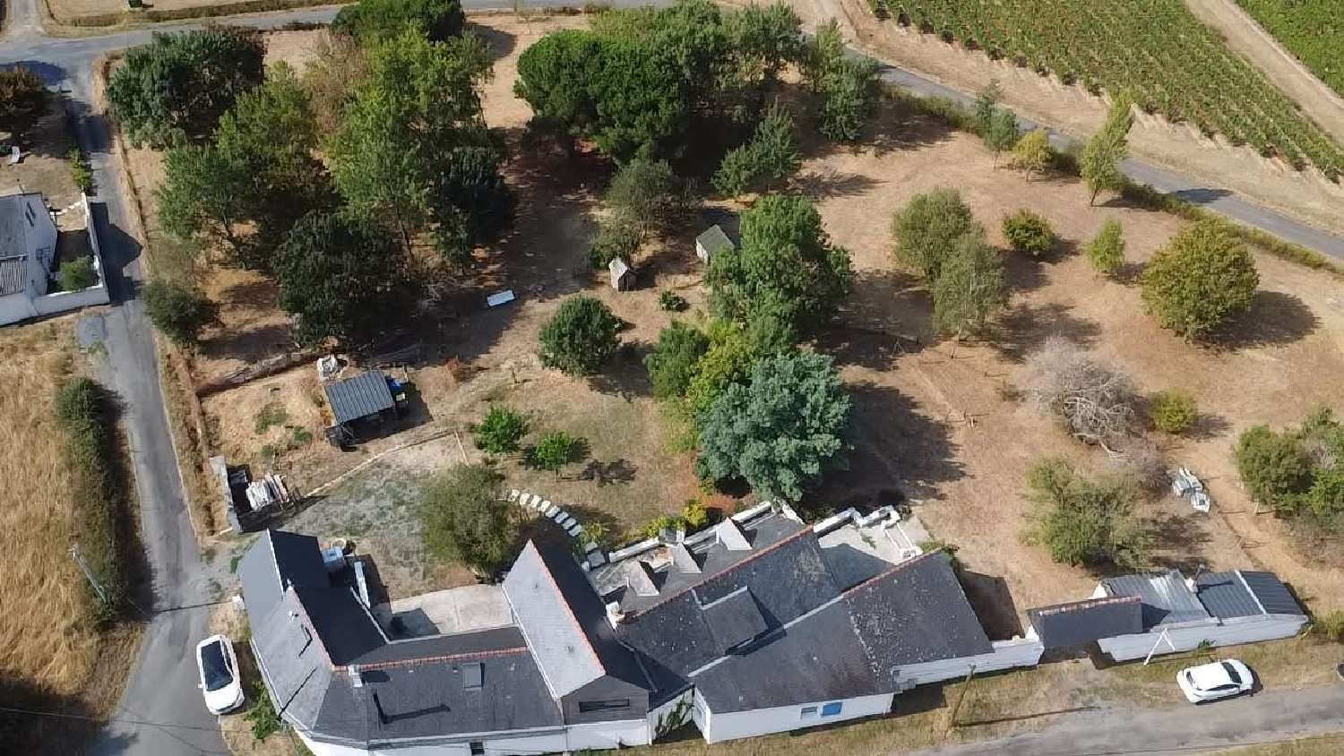 kaufen Haus Saint-Lambert-du-Lattay Maine-et-Loire 4