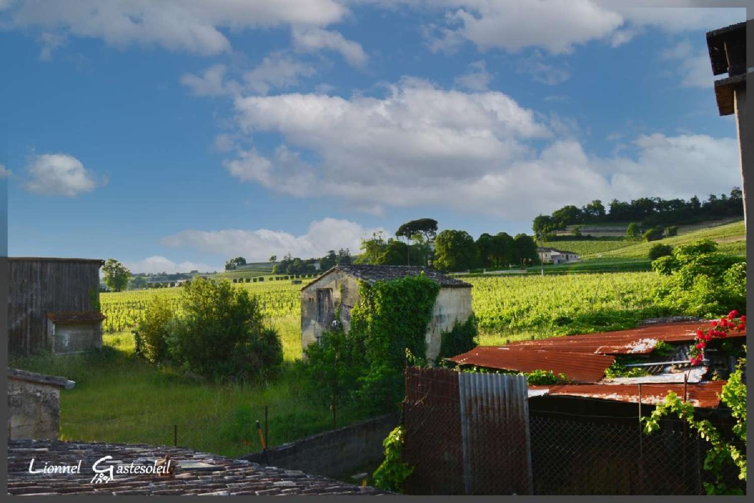  for sale house Saint-Laurent-des-Combes Gironde 4