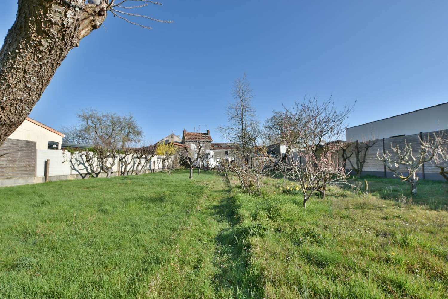 te koop huis Saint-Léger-sous-Cholet Maine-et-Loire 5
