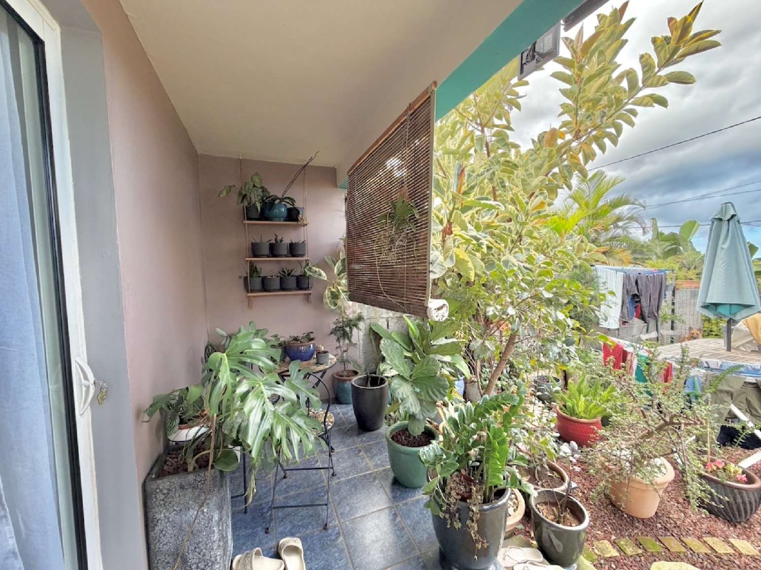  te koop huis Saint-Louis La Réunion 4
