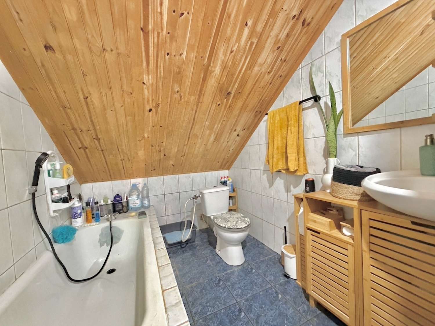  te koop huis Saint-Louis La Réunion 8