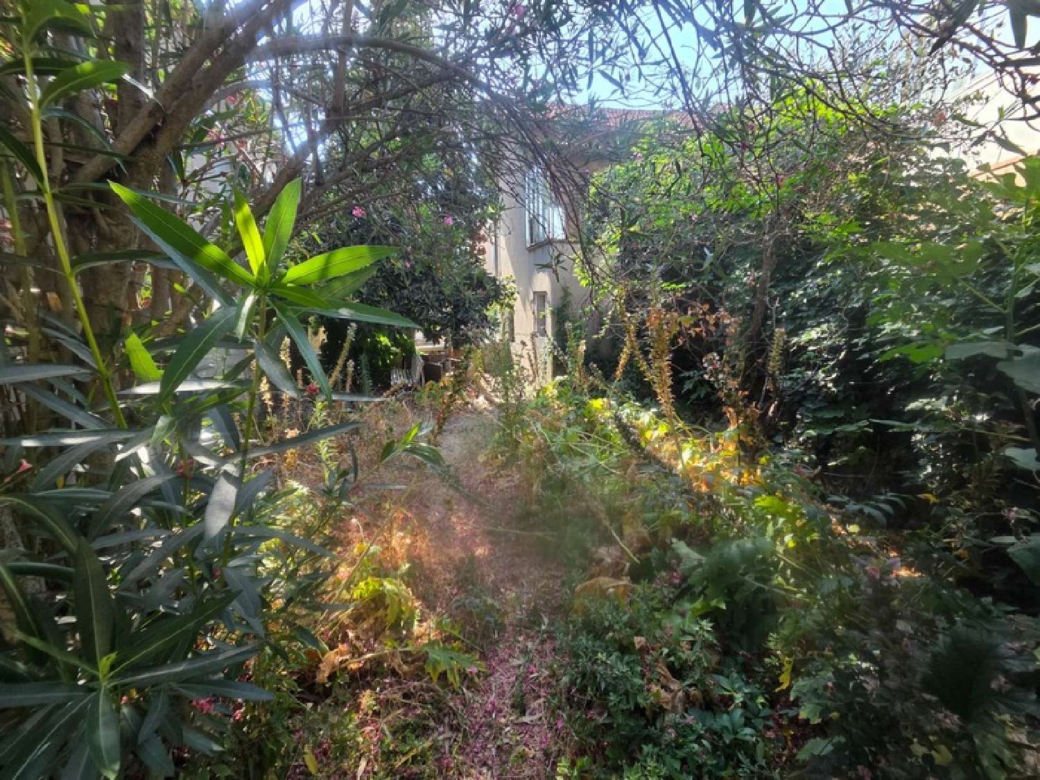 for sale house Saint-Martin-de-Valgalgues Gard 3
