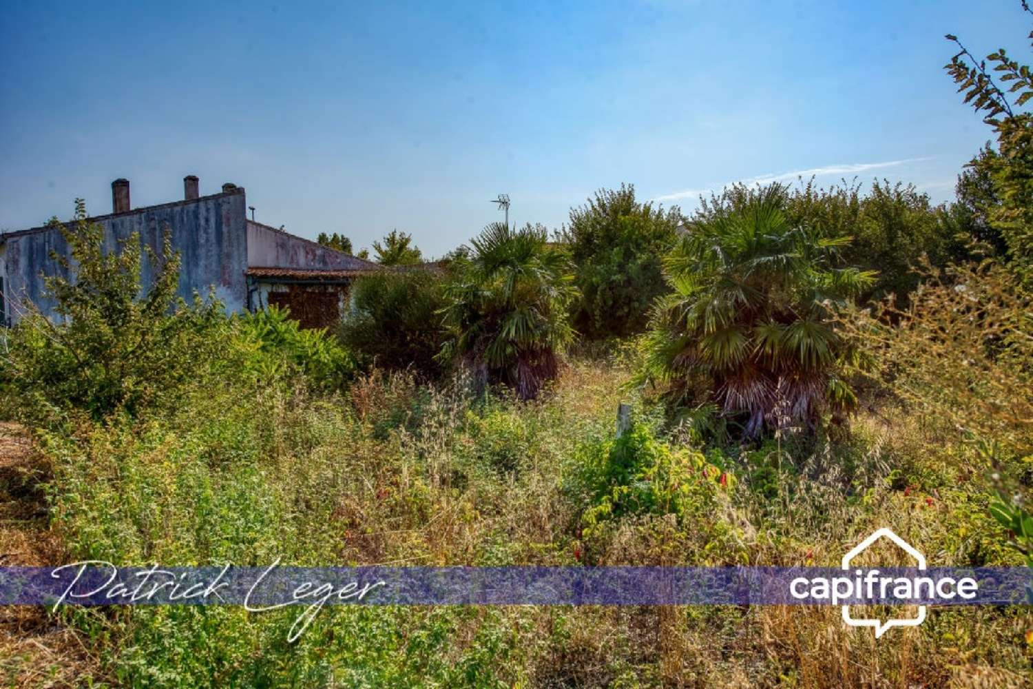 en venta casa Saint-Martin-de-Ré Charente-Maritime 5