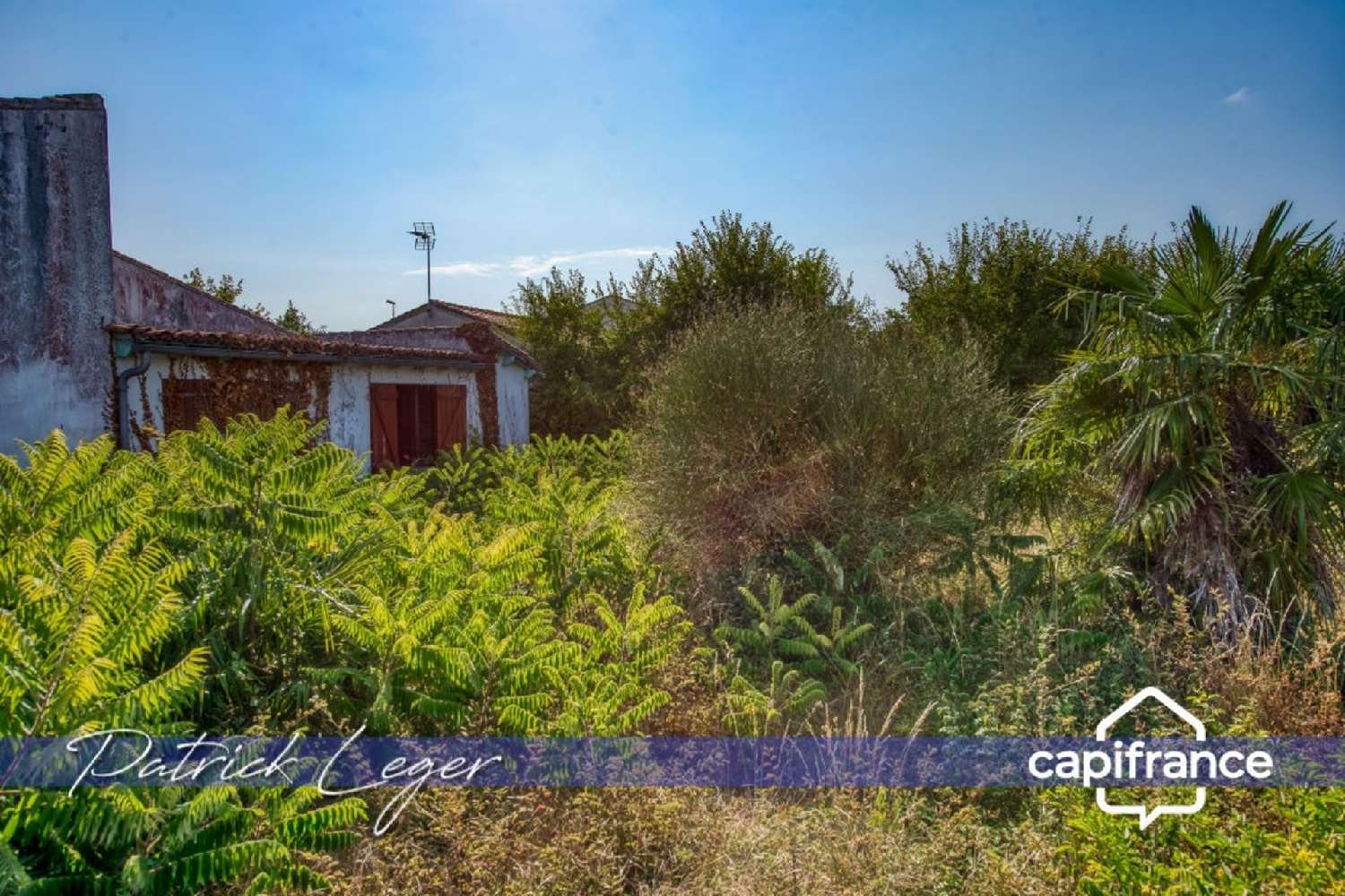 en venta casa Saint-Martin-de-Ré Charente-Maritime 6