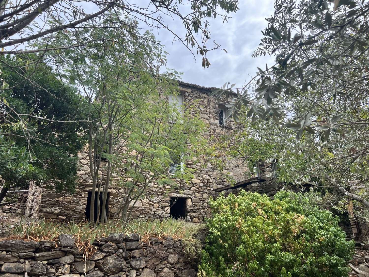 te koop huis Saint-Martin-de-l'Arçon Hérault 1