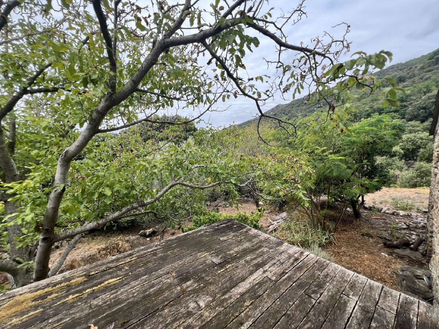 te koop huis Saint-Martin-de-l'Arçon Hérault 2