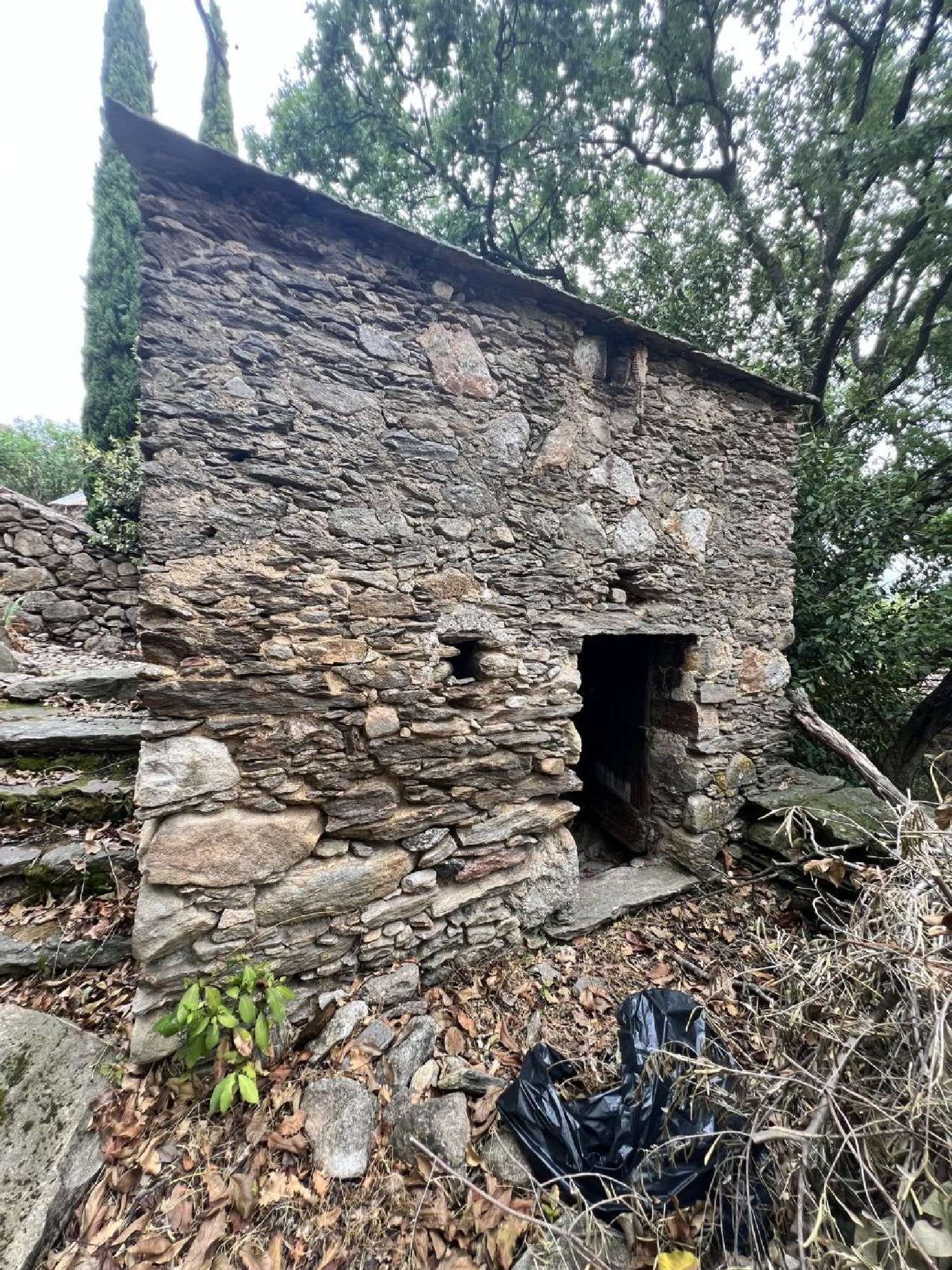 te koop huis Saint-Martin-de-l'Arçon Hérault 3