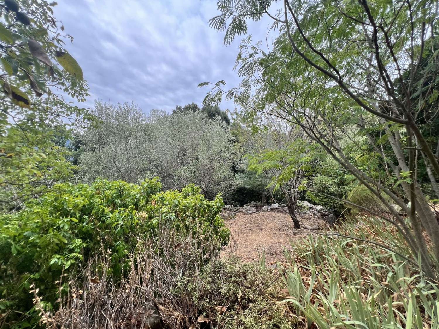 te koop huis Saint-Martin-de-l'Arçon Hérault 4