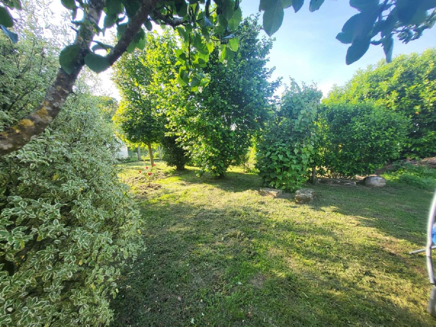 for sale house Saint-Michel-le-Cloucq Vendée 1