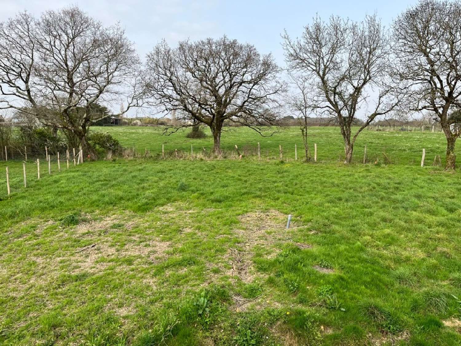 for sale house Saint-Nazaire Loire-Atlantique 6