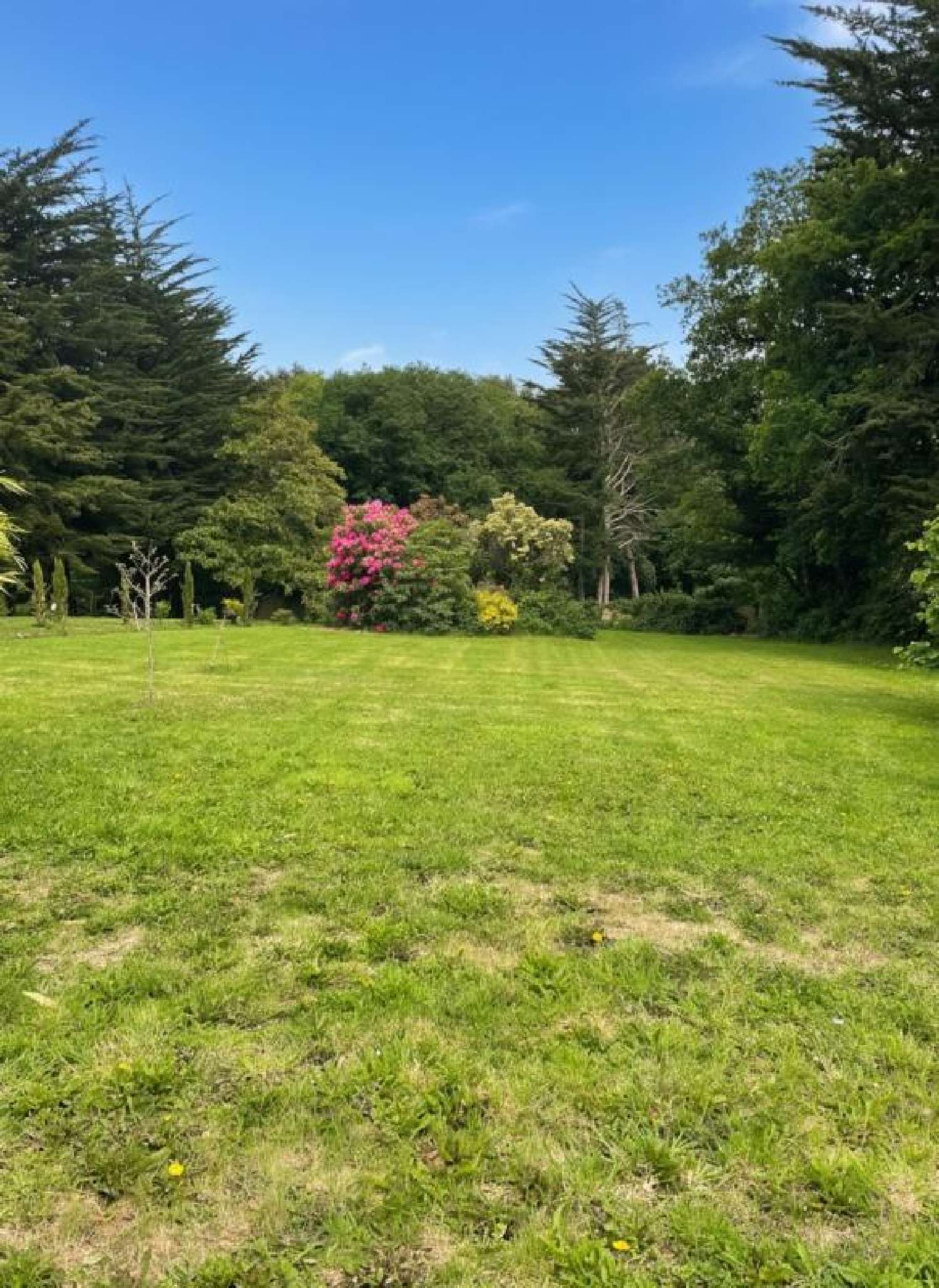 en venta casa Saint-Nicolas-du-Pélem Côtes-d'Armor 3