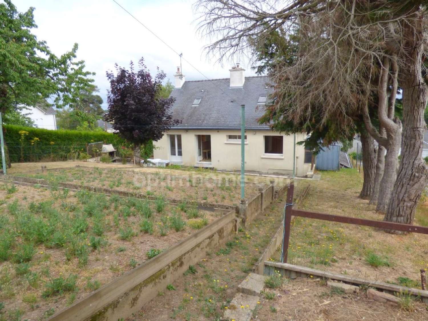  te koop huis Saint-Nicolas-de-Redon Loire-Atlantique 1