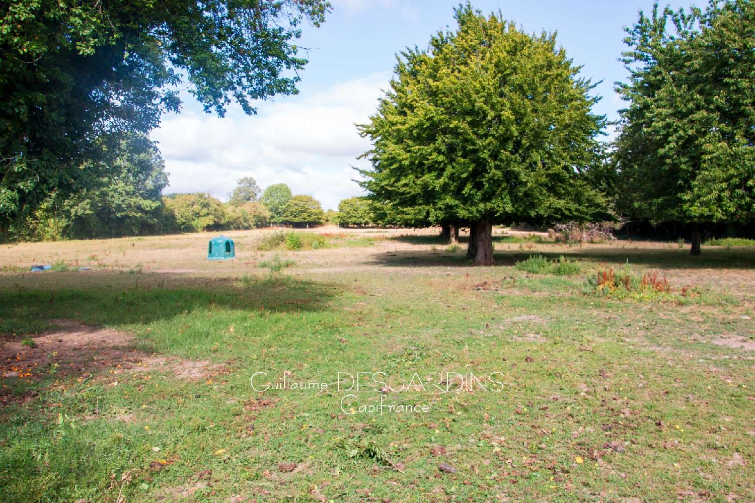  for sale house Saint-Ouen-sur-Maire Orne 5