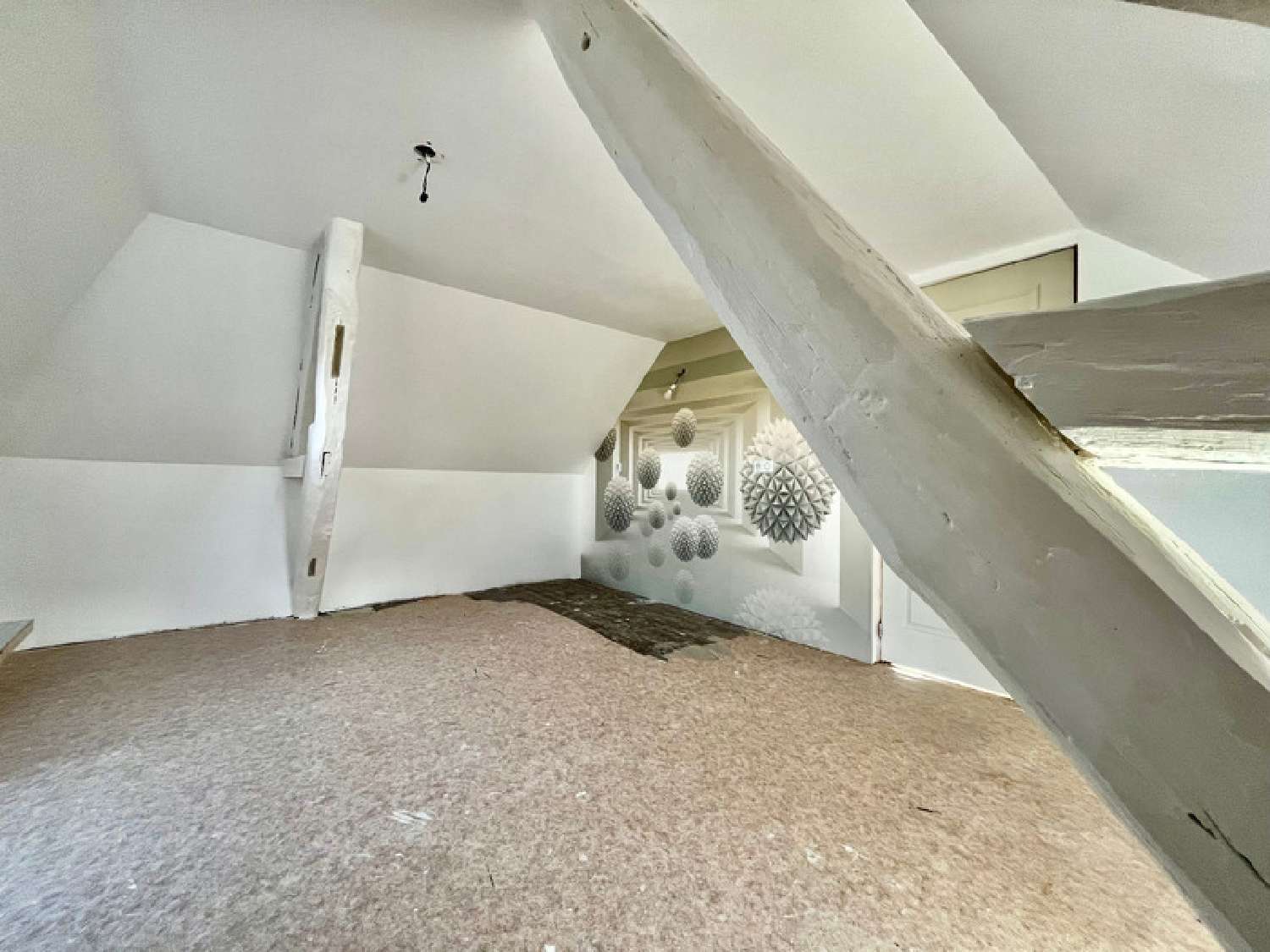  te koop huis Saint-Pierre-la-Noaille Loire 8