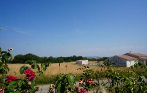 Saint-Sardos Lot-et-Garonne maison foto 7392579
