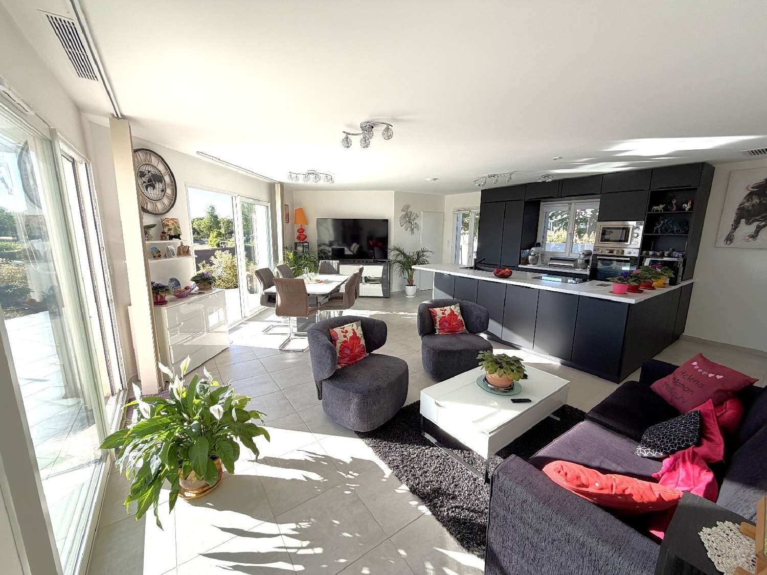 à vendre maison Saint-Thibéry Hérault 5