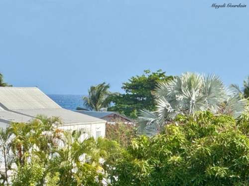 Sainte-Anne Guadeloupe Haus Bild 7383638