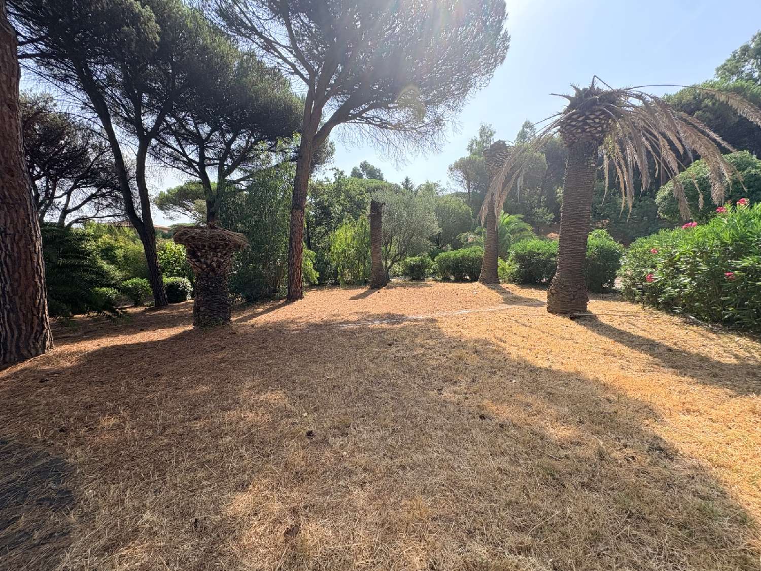 à vendre maison Sainte-Maxime Var 3