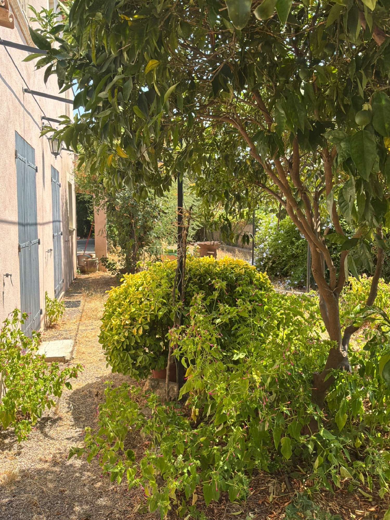  for sale house Sainte-Maxime Var 2