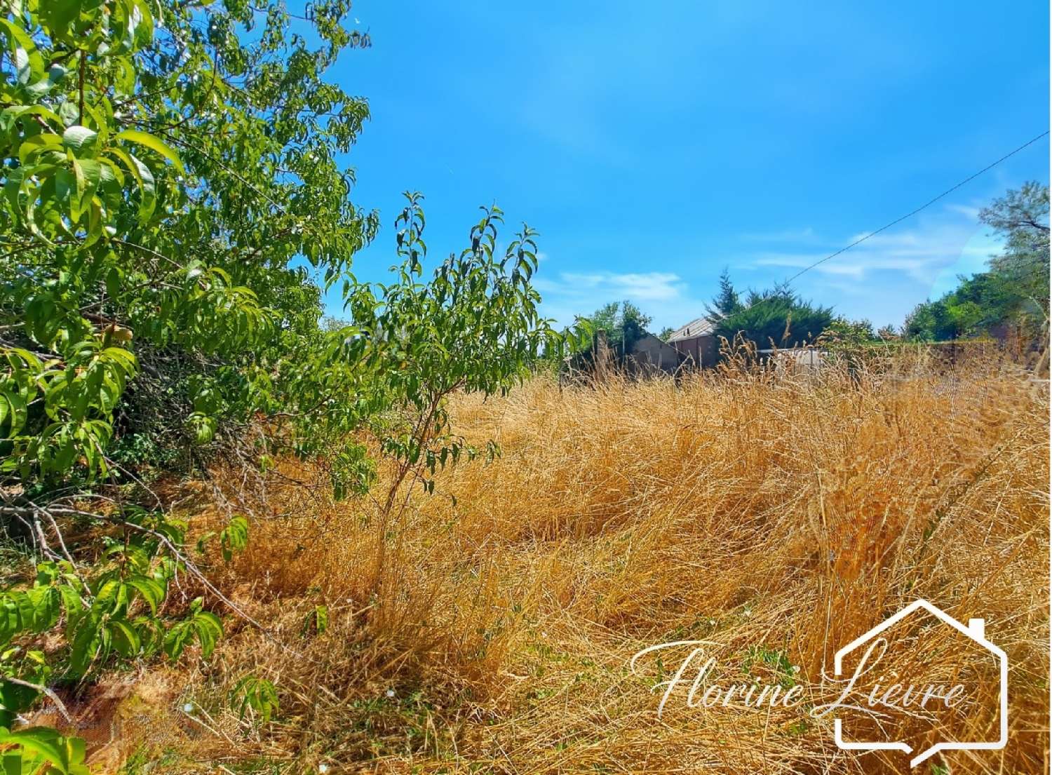 for sale house Saulzais-le-Potier Cher 3