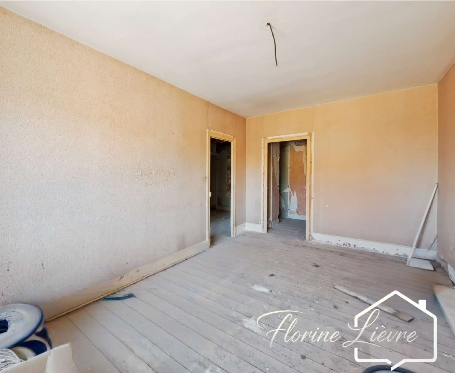 for sale house Saulzais-le-Potier Cher 8