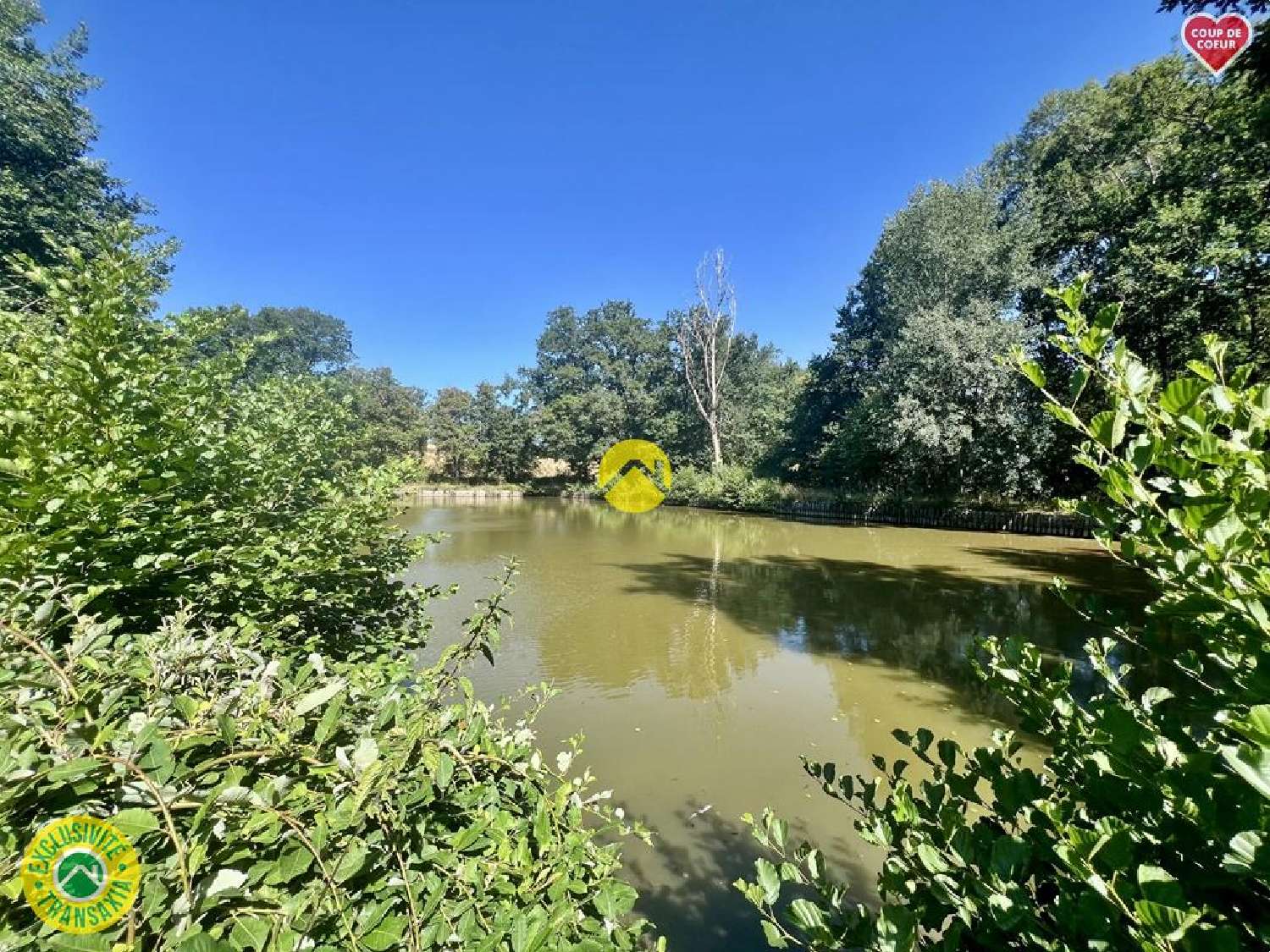 for sale house Savigny-en-Sancerre Cher 3