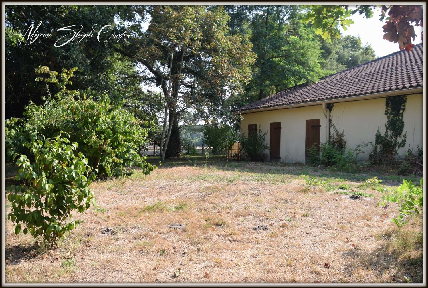  kaufen Haus Seignosse Landes 2