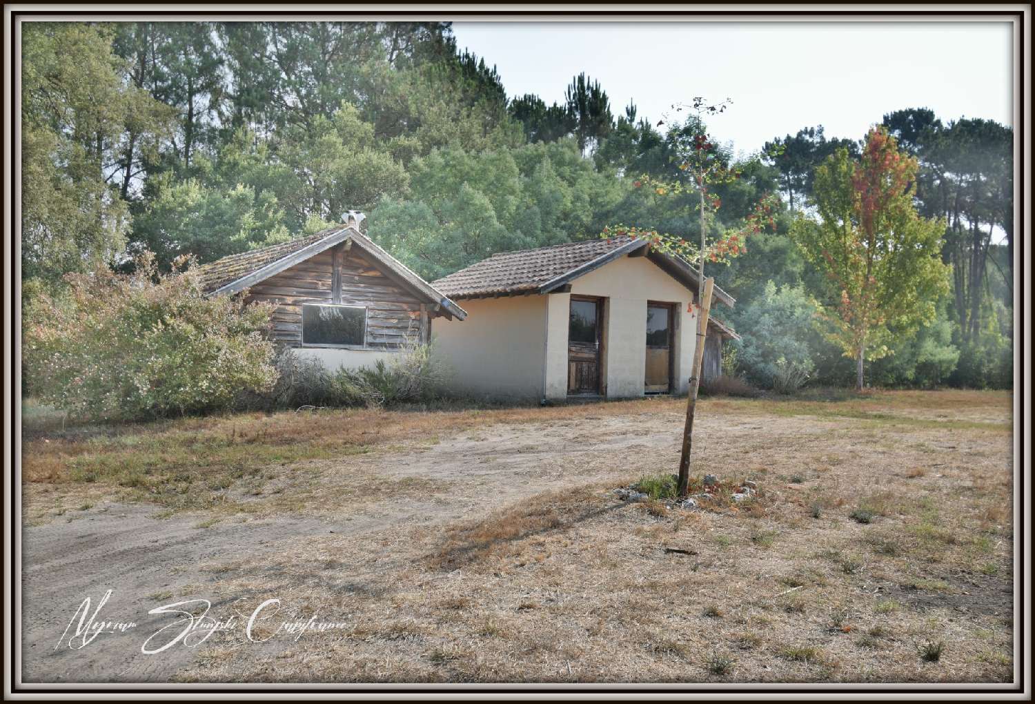 kaufen Haus Seignosse Landes 5