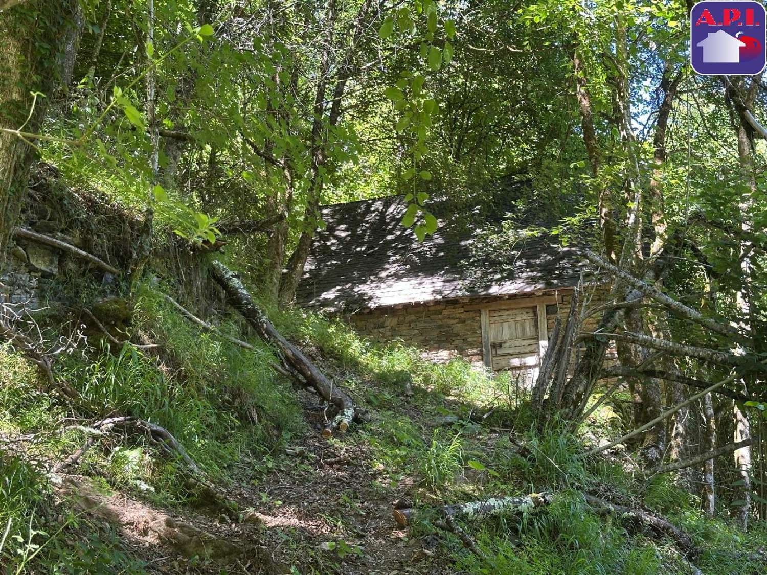 à vendre maison Sentein Ariège 5