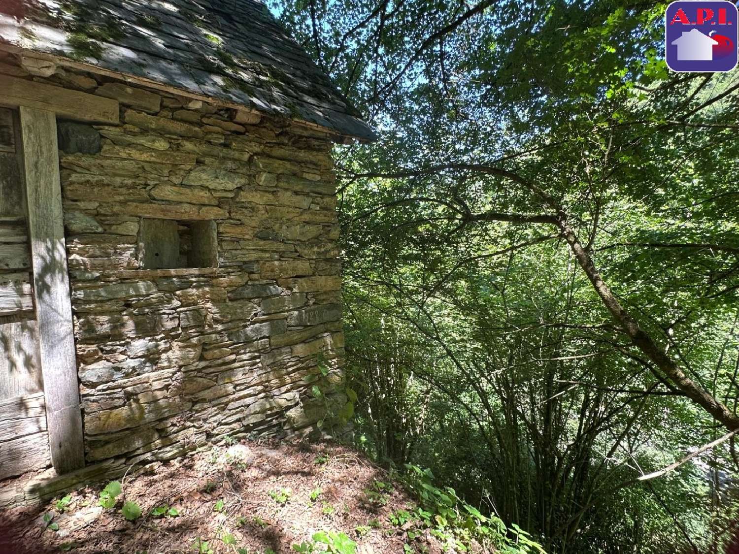 à vendre maison Sentein Ariège 6