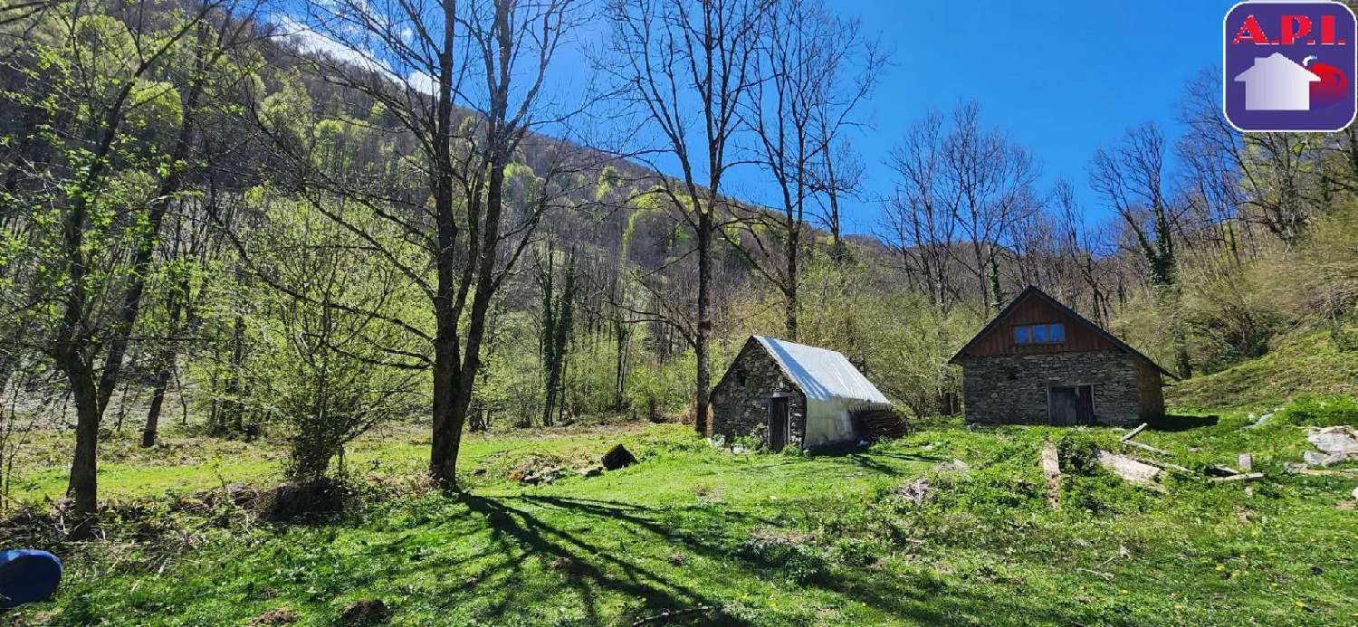 à vendre maison Sentenac-d'Oust Ariège 1