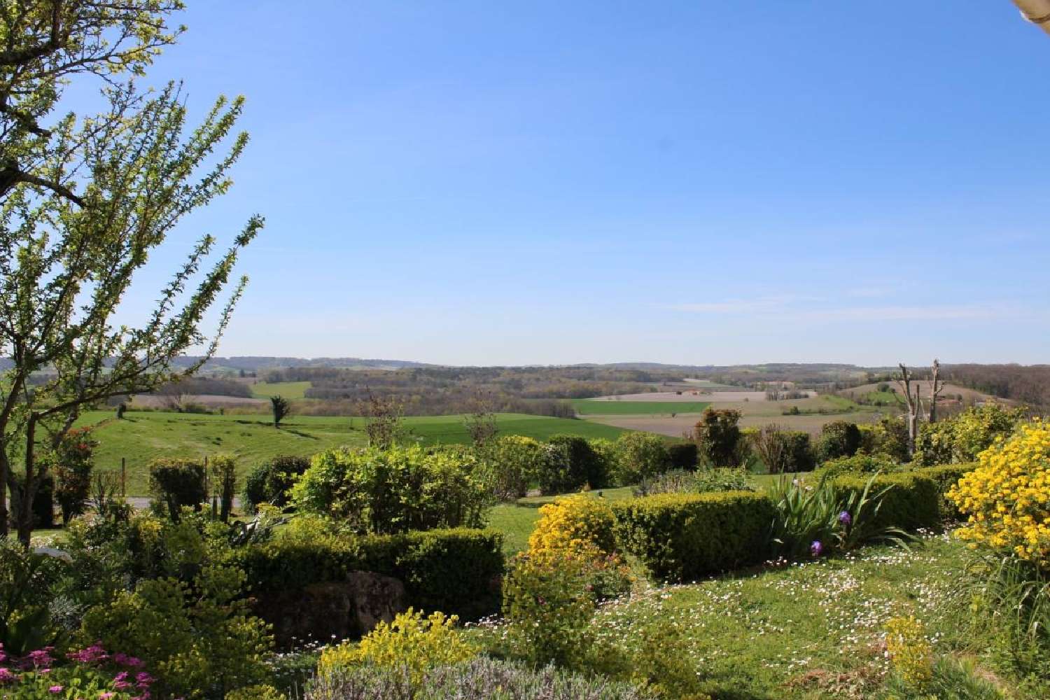 for sale house Sérignac Charente 3