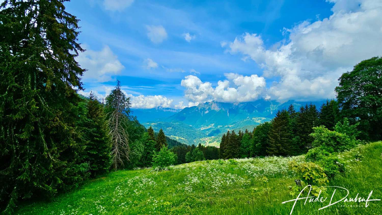 kaufen Haus Serraval Haute-Savoie 5