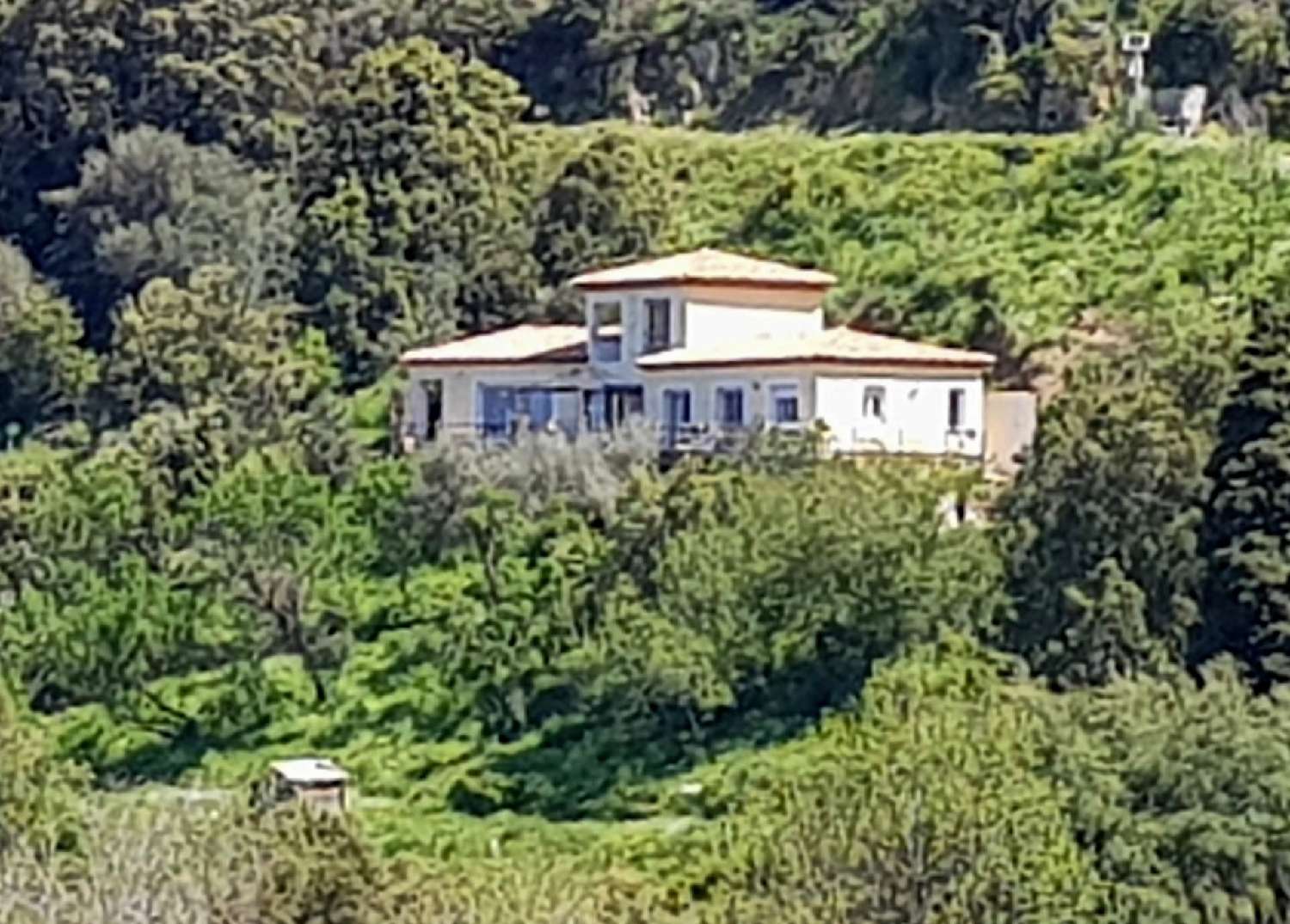 à vendre maison Sollacaro Corse-du-Sud 1