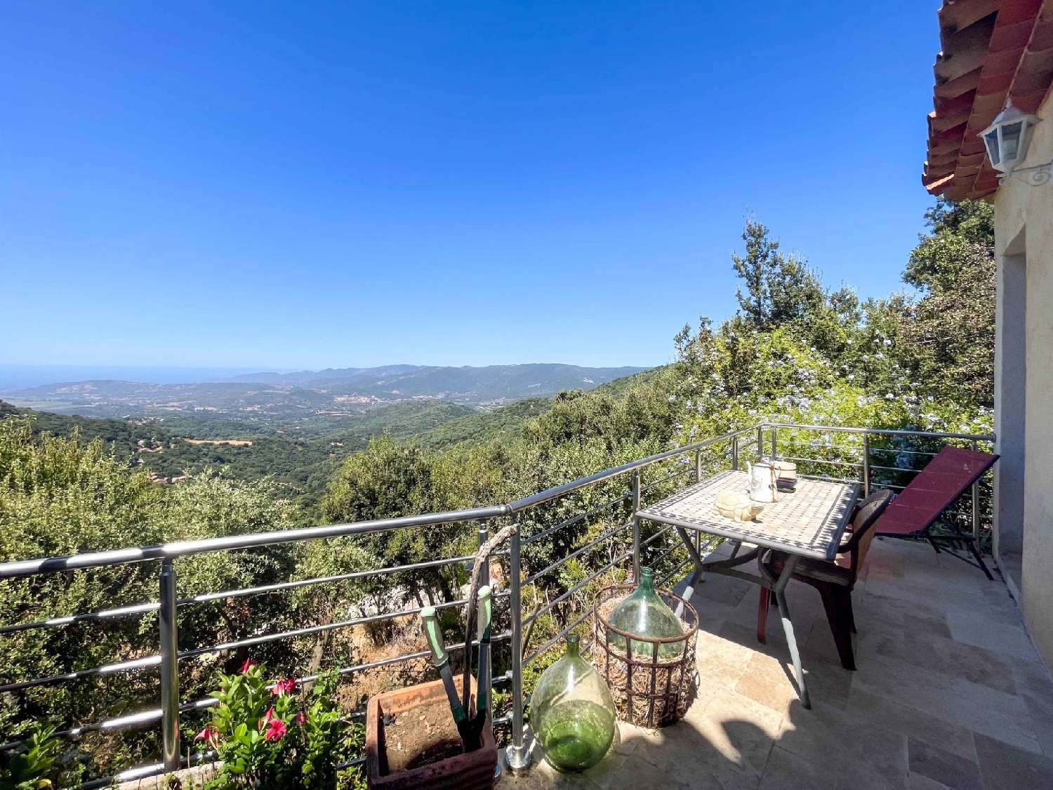 à vendre maison Sollacaro Corse-du-Sud 2