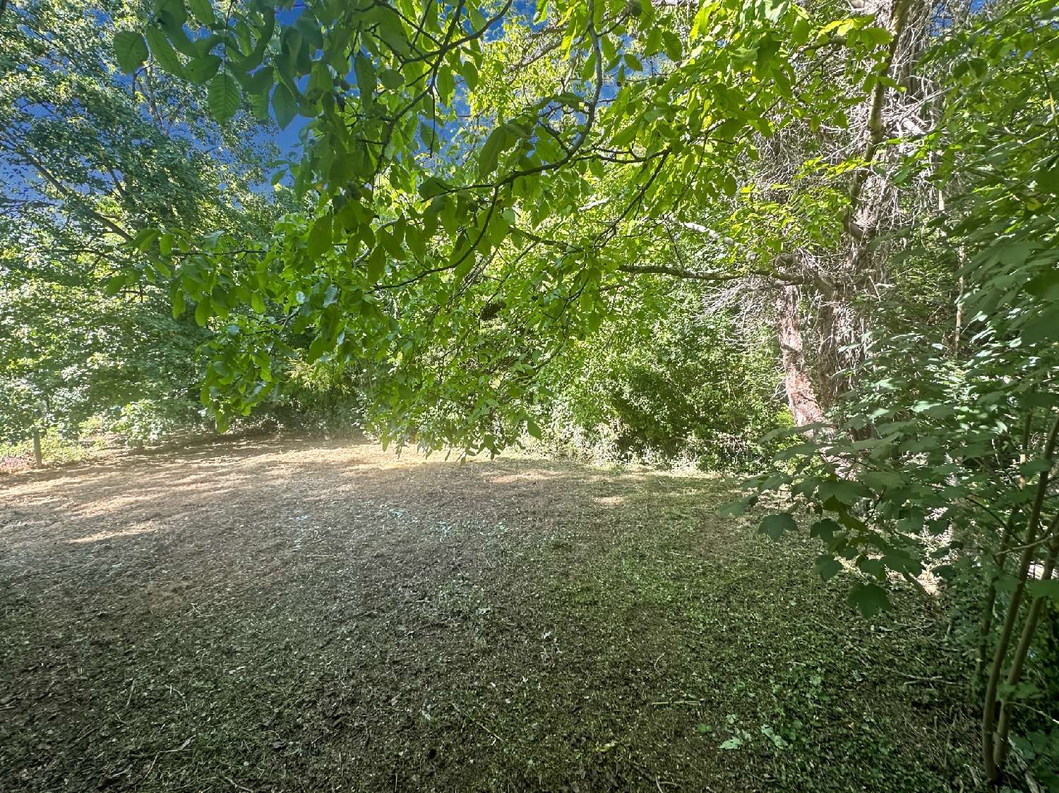 for sale house Souppes-sur-Loing Seine-et-Marne 3