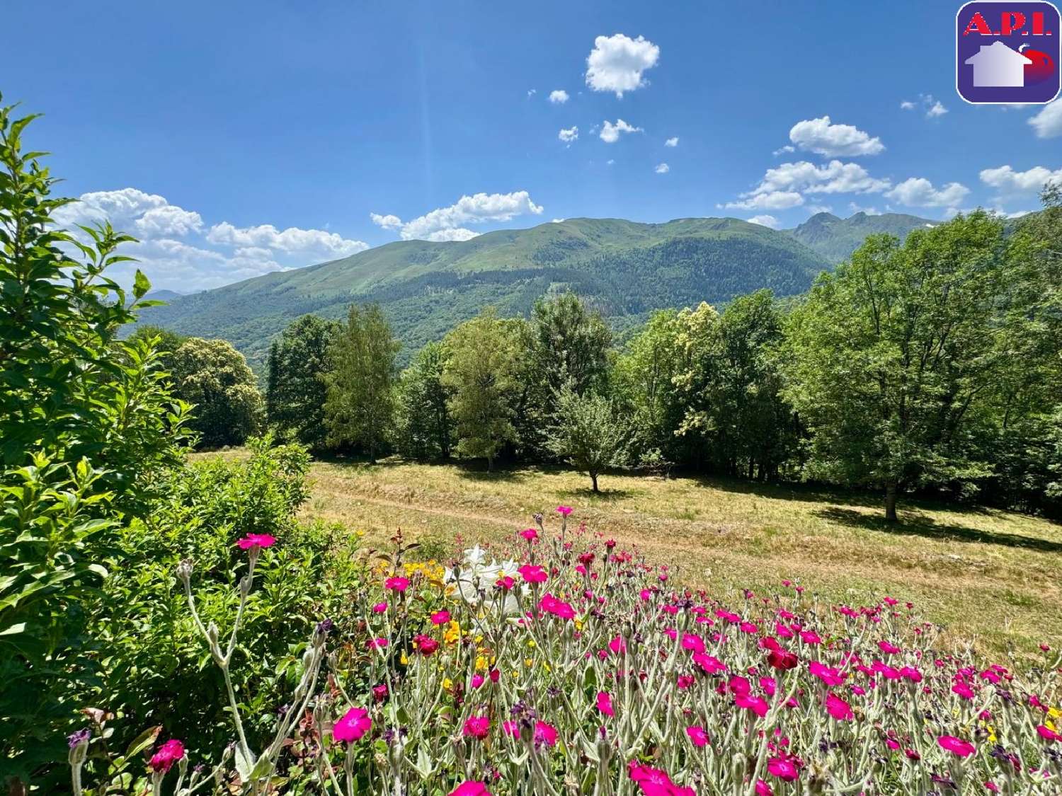 for sale house Tarascon-sur-Ariège Ariège 2