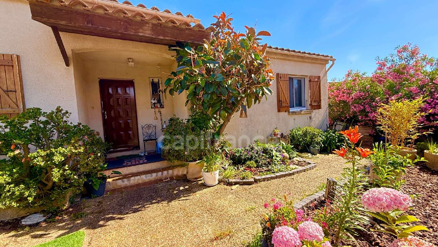 à vendre maison Tavaco Corse-du-Sud 1