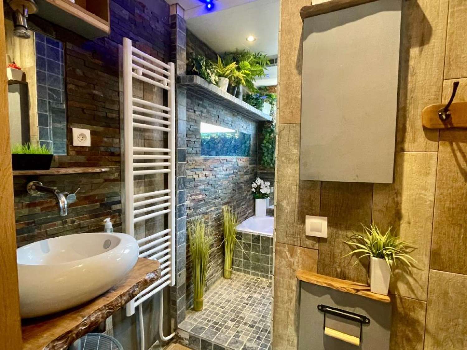 te koop huis Thomery Seine-et-Marne 8