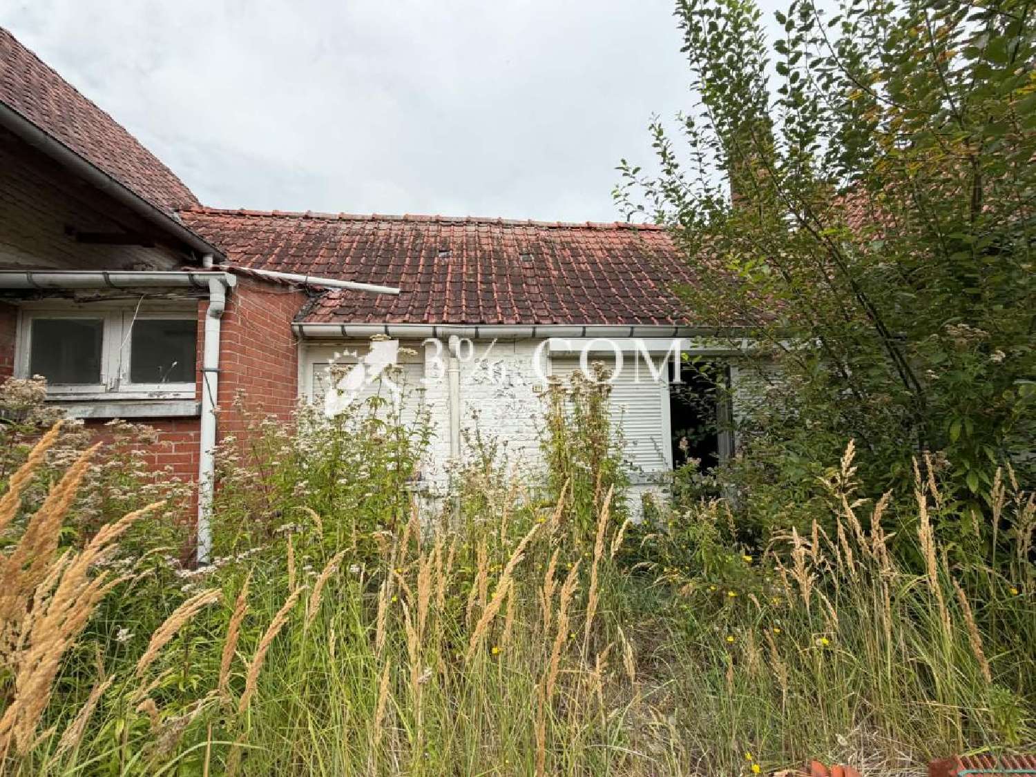 for sale house Thumeries Nord 1